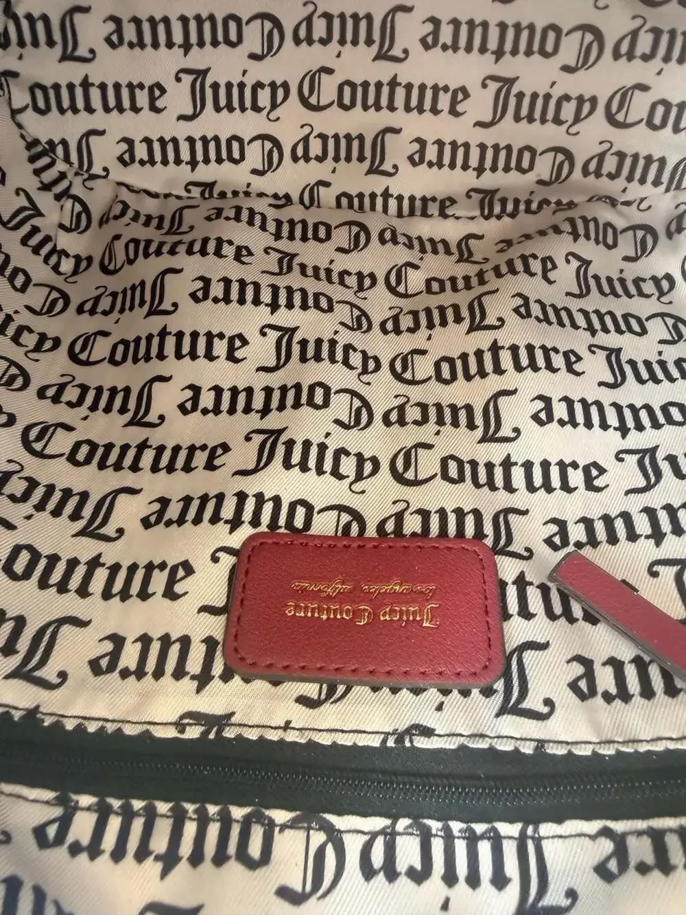 Juicy Couture In Her Juicy Era Hobo Bag in Cranberry